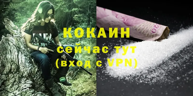 COCAIN Fish Scale  Шлиссельбург 